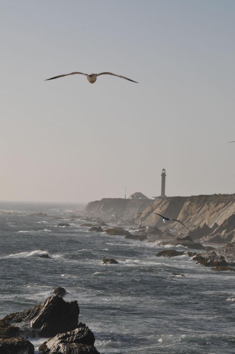 Point Arena Lighthouse image