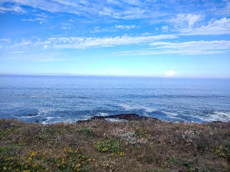 Point Arena Lighthouse image