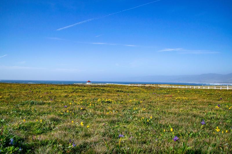 Point Arena Lighthouse image
