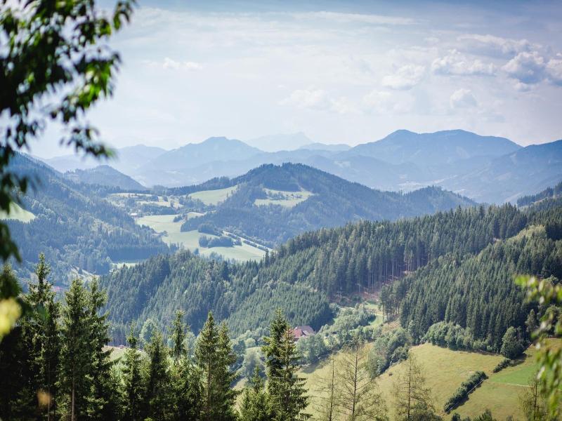 Gasthof Oberer Gesslbauer image