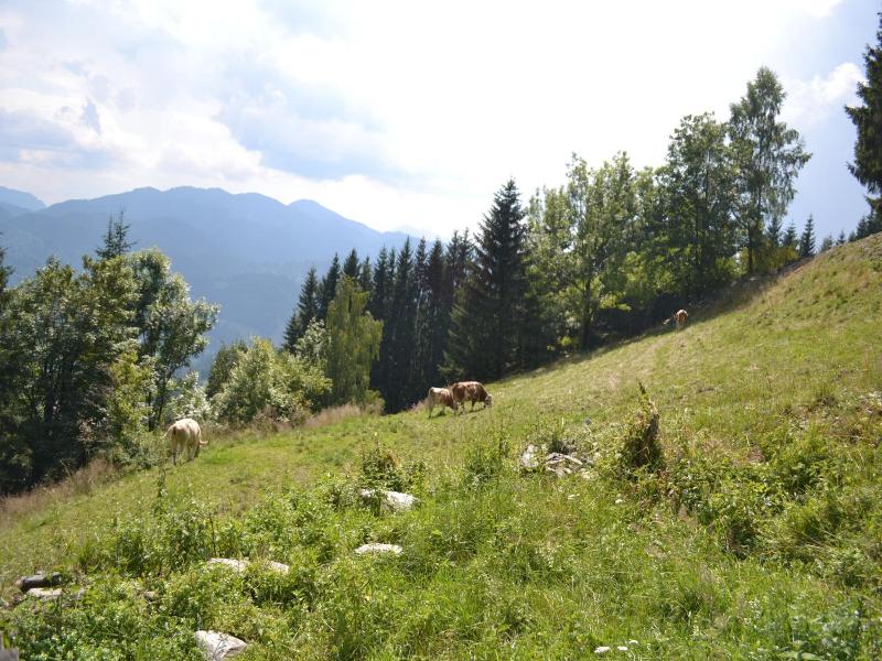 Gasthof Oberer Gesslbauer image