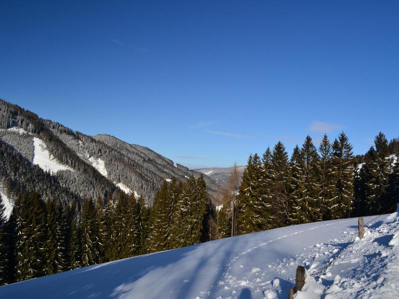 Gasthof Oberer Gesslbauer image