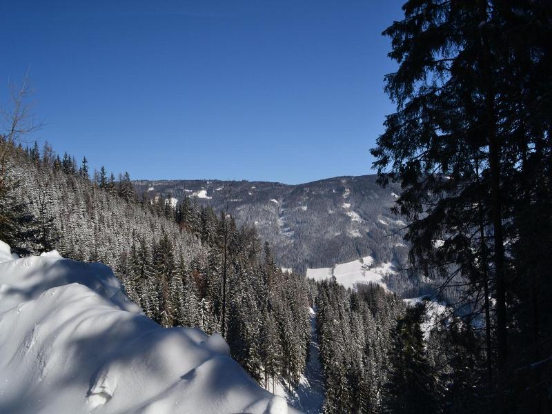 Gasthof Oberer Gesslbauer image