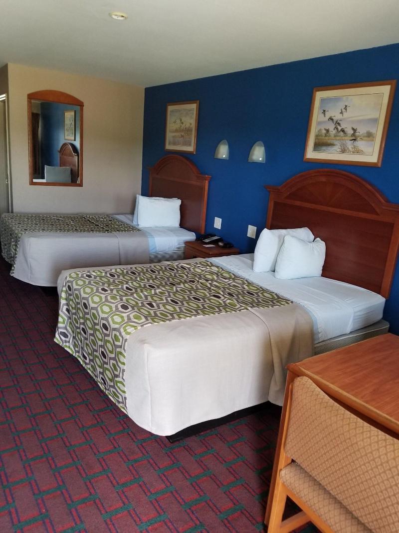 Palace Inn image