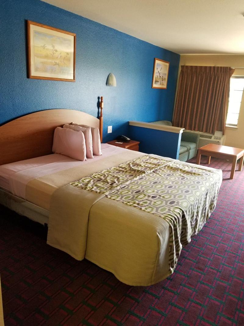 Palace Inn image