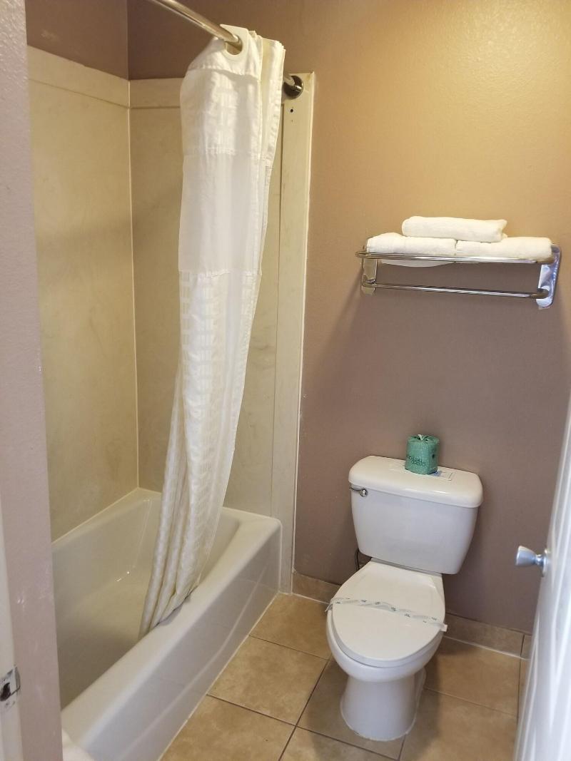 Palace Inn image