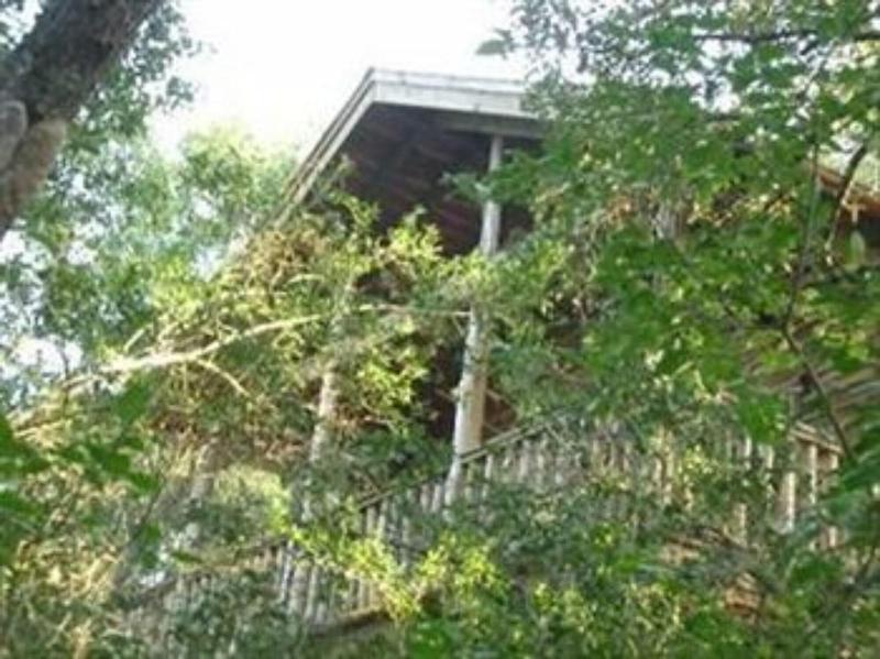Scenic Hill Retreat — photo 5