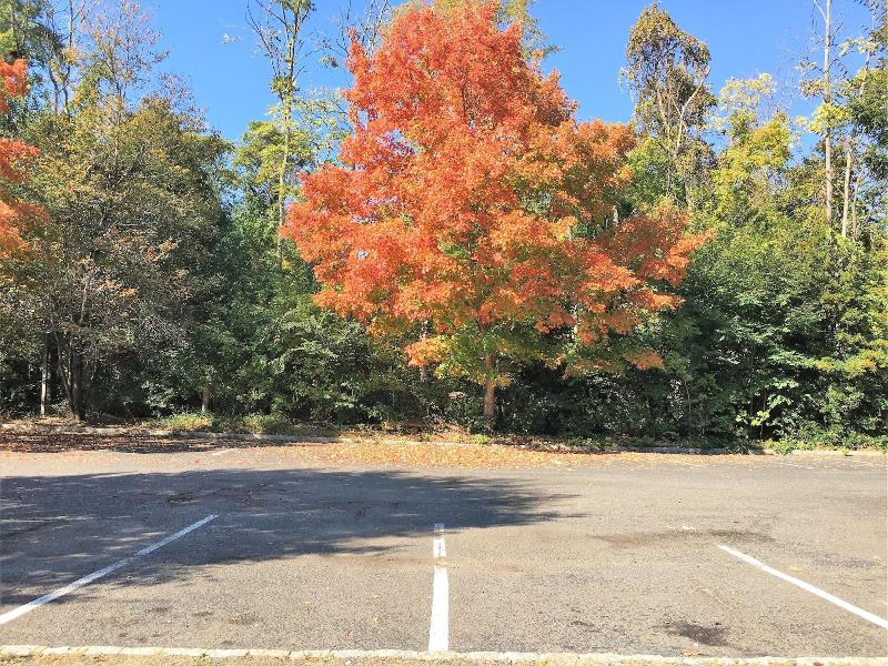 Colts Neck Inn Hotel image