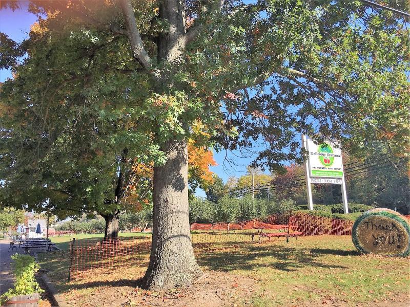 Colts Neck Inn Hotel image