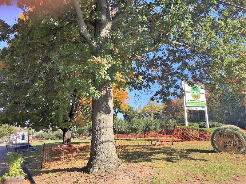 Colts Neck Inn Hotel image