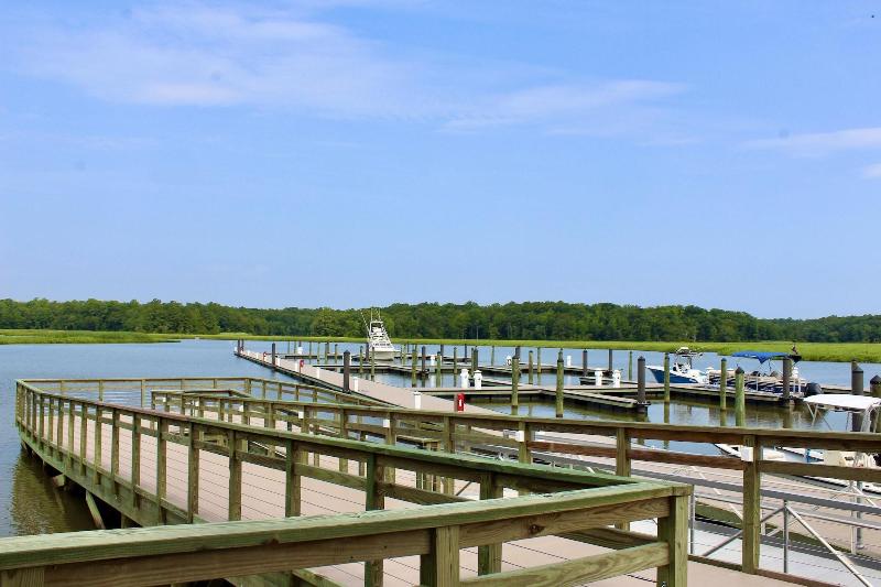 Surry Seafood Company