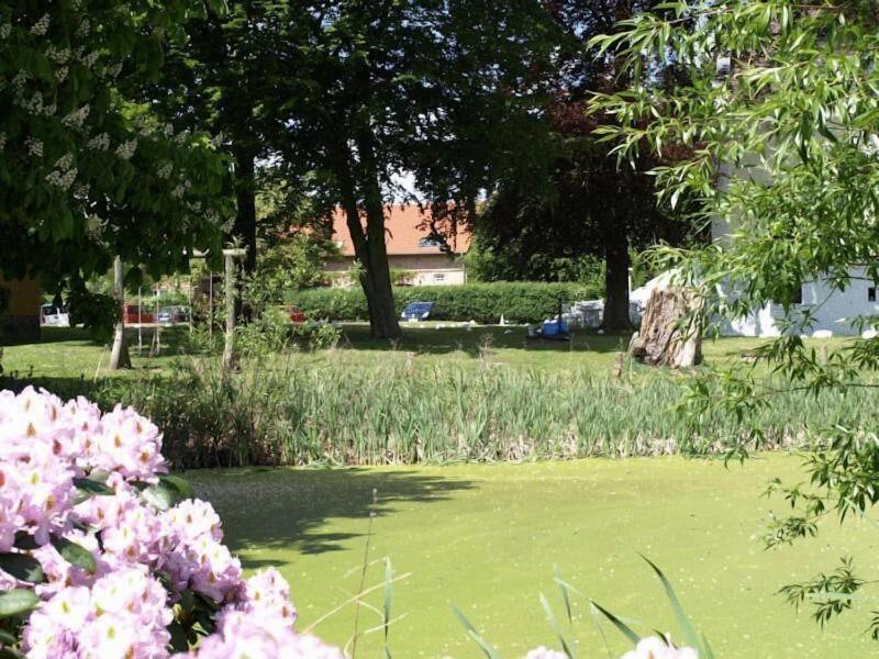 Hotel Pension Gutshaus Neu Wendorf image