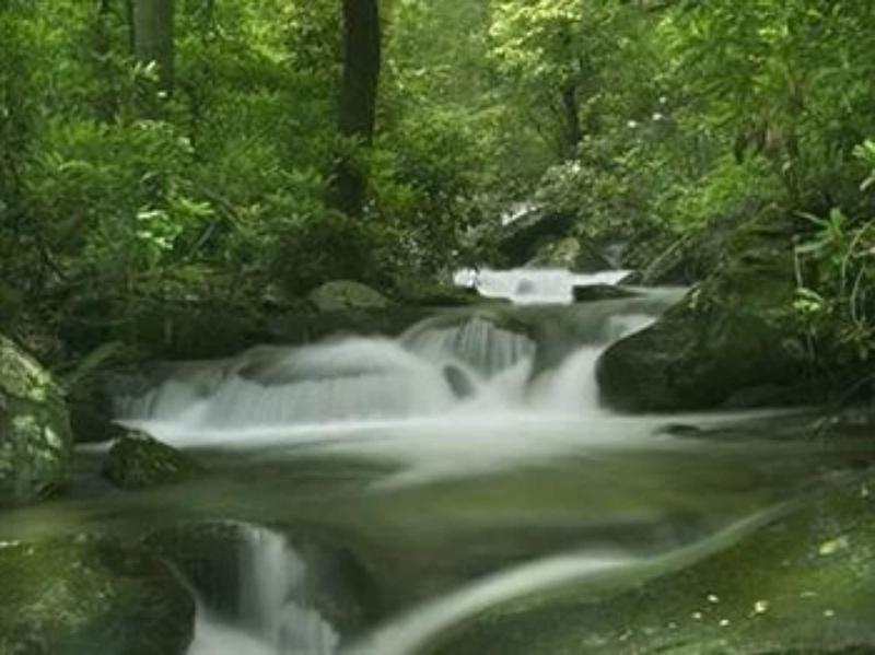 Lake Rabun Hotel & Restaurant image