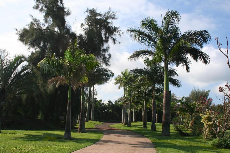 Hawaii Island Retreat image