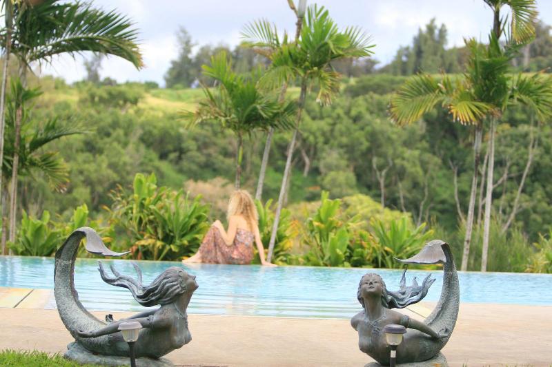 Hawaii Island Retreat image