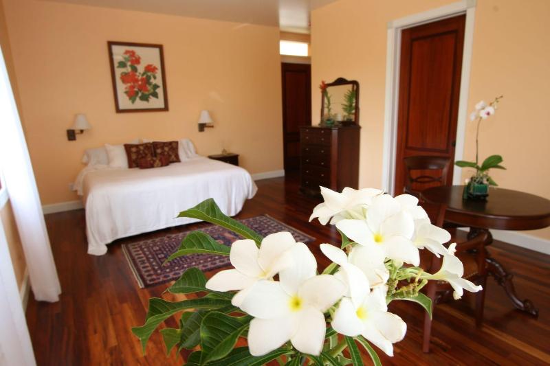 Hawaii Island Retreat image