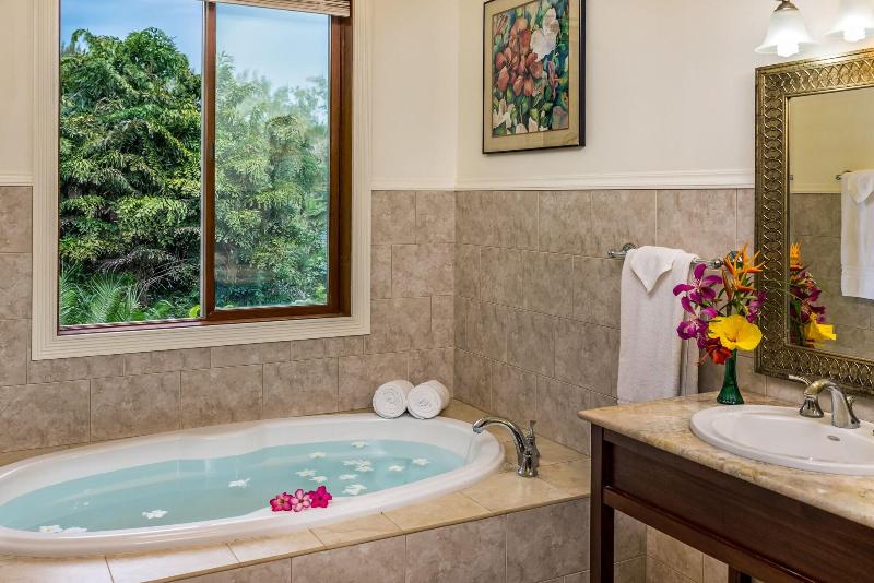 Hawaii Island Retreat image