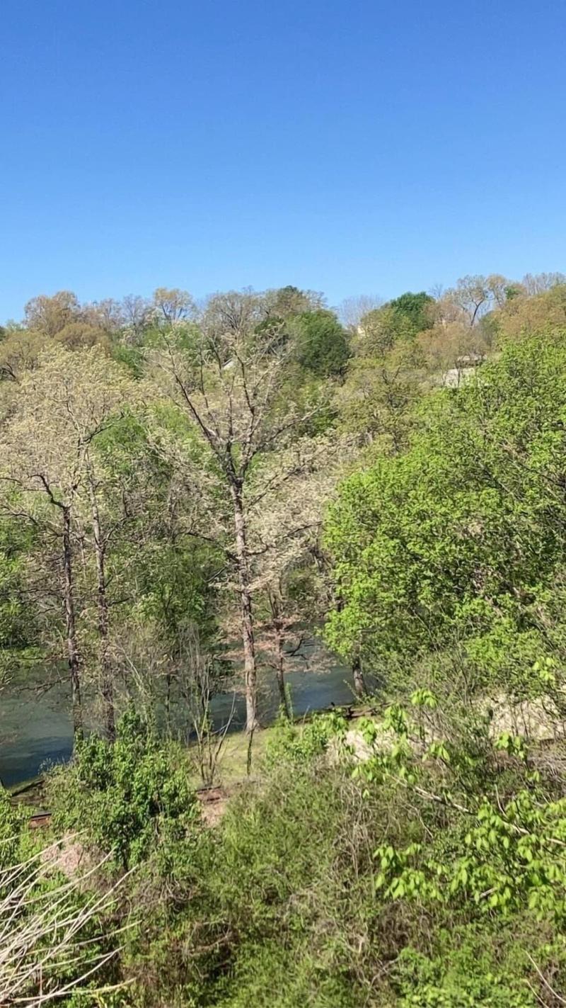 Riverview Trout Lodge image