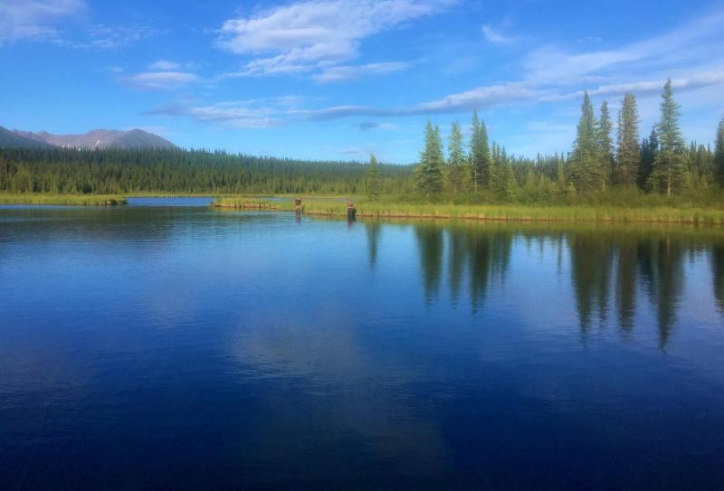 Alpine Creek Lodge image