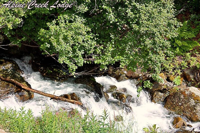 Alpine Creek Lodge image