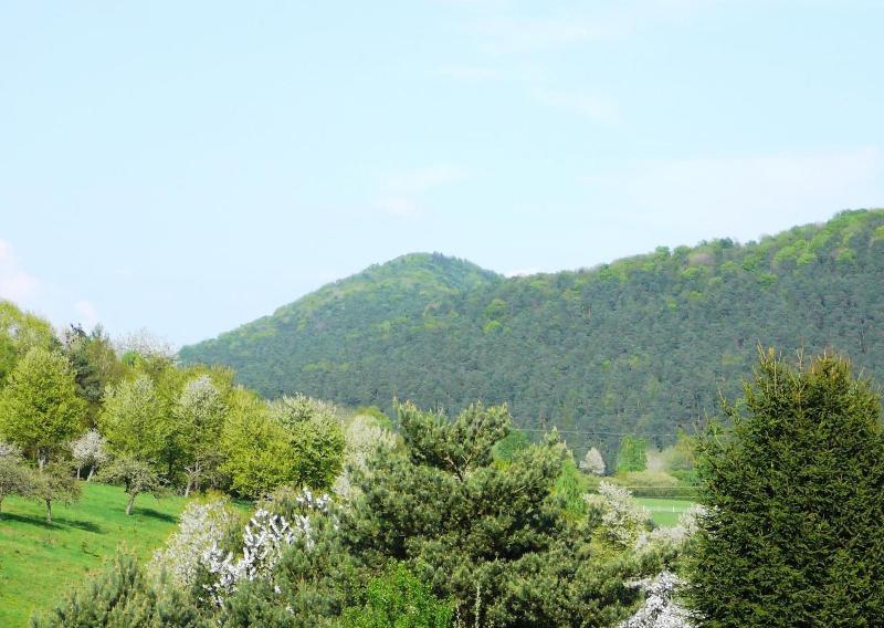 Landgasthof Zum Ochsen image