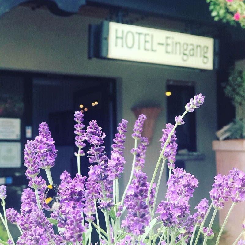 Hotel Zur Krone image