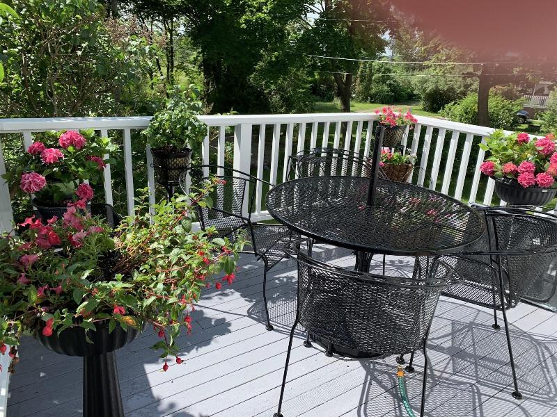 The Hydrangea Inn image