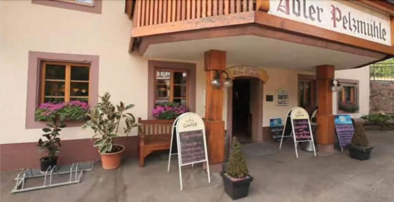 Landgasthof Adler-Pelzmühle image