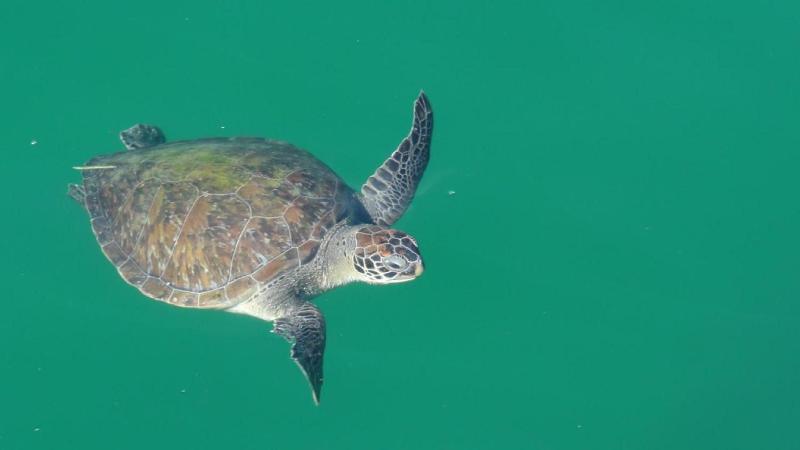 Pousada Cruzoé image