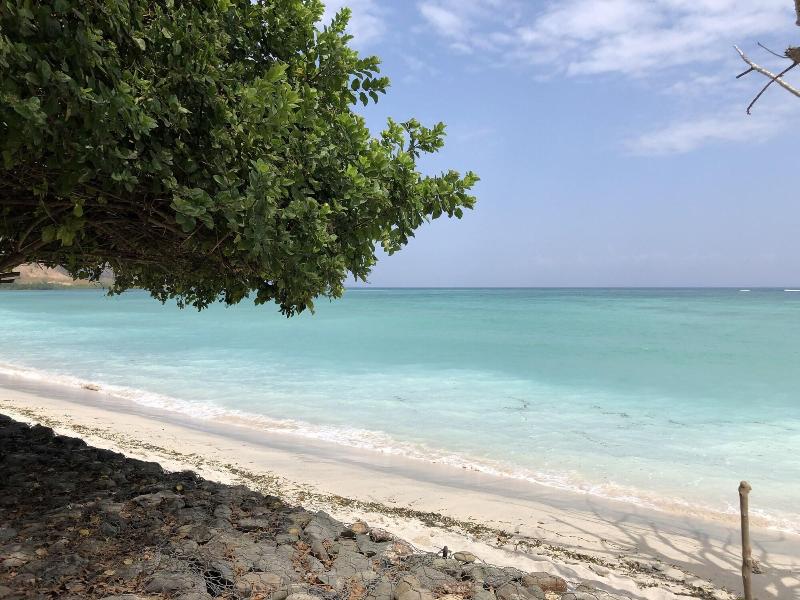 MYAMO Beach Lodge - Hostel image