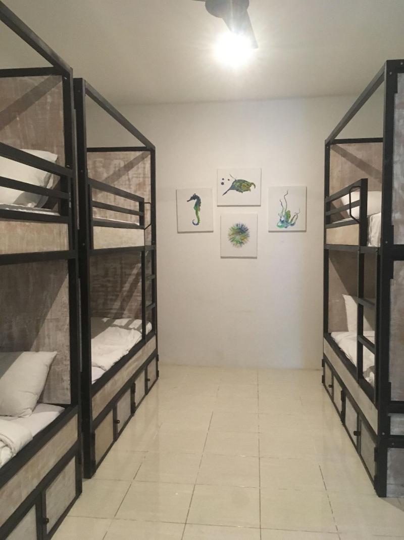 MYAMO Beach Lodge - Hostel image