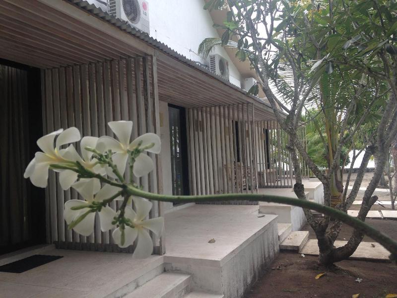 MYAMO Beach Lodge - Hostel image