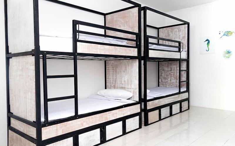 MYAMO Beach Lodge - Hostel image