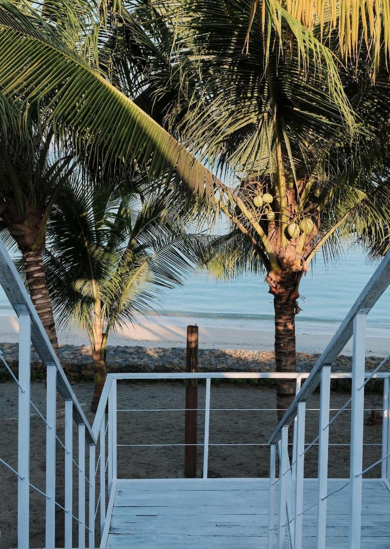 MYAMO Beach Lodge - Hostel image