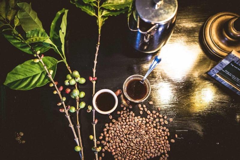 Copal Tree Lodge, A Muy'Ono Resort image
