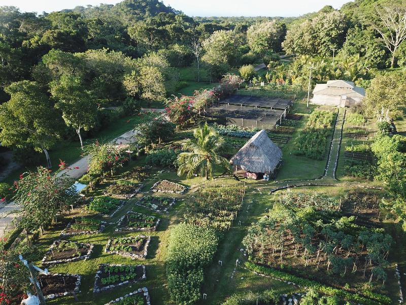 Copal Tree Lodge, A Muy'Ono Resort image