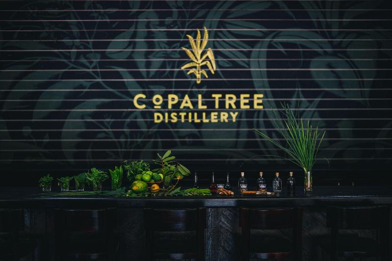 Copal Tree Lodge, A Muy'Ono Resort image