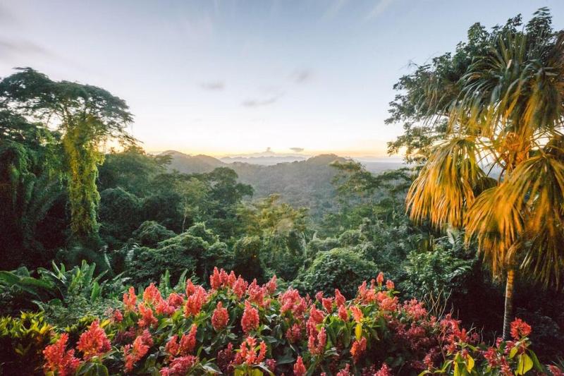 Copal Tree Lodge, A Muy'Ono Resort image