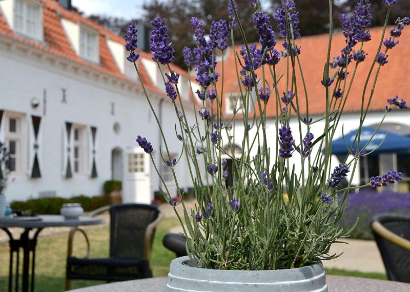Kasteel Aldenghoor image