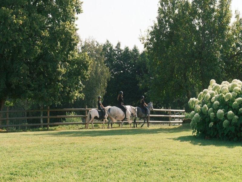 Domaine Du Lieu Dieu image