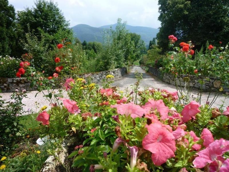 Domaine Vega