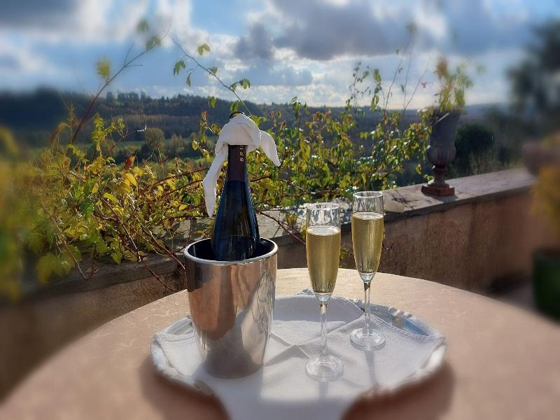 Château Haute Roche image