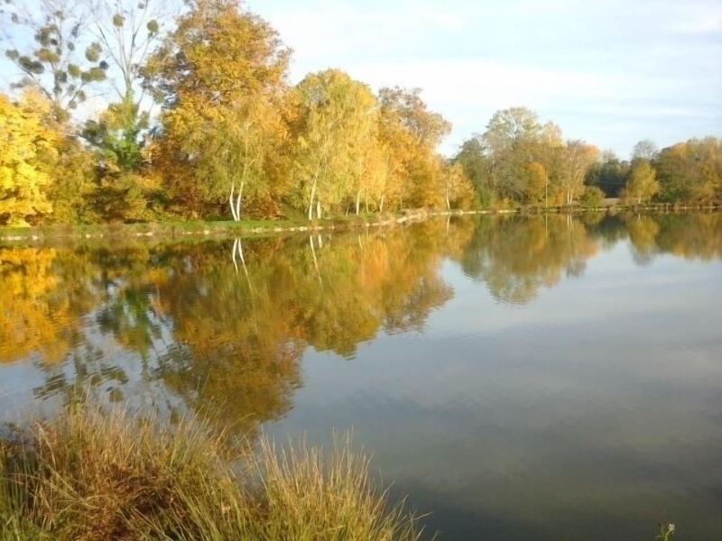 Le Moulin de L'étang image
