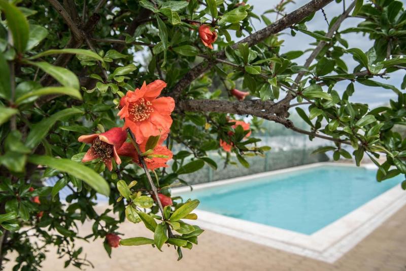 Villa Lara image