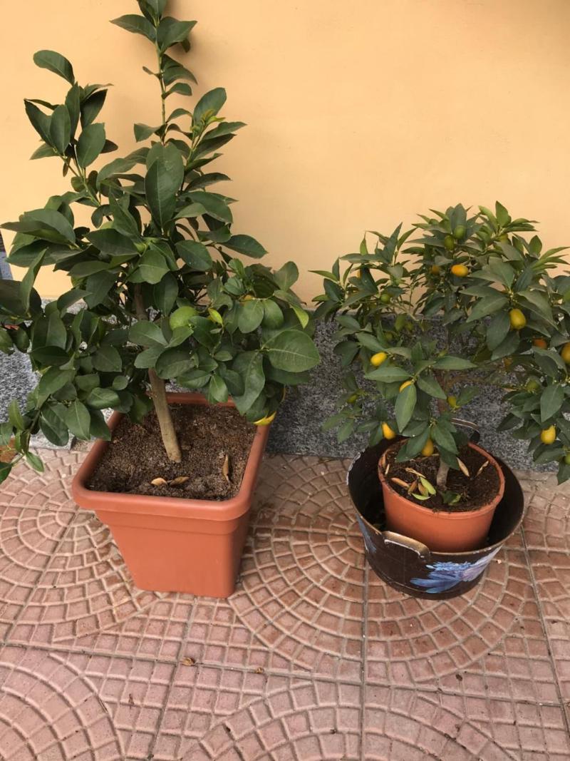 Hotel Duca Di Tromello image