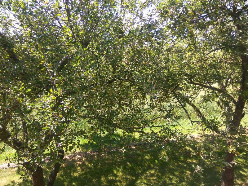 Penzion Silma image