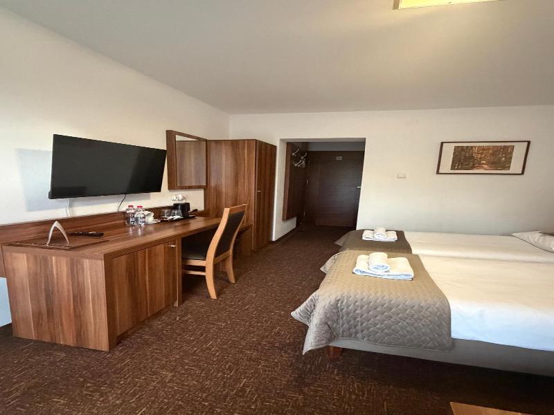 Hotel Beskidian image
