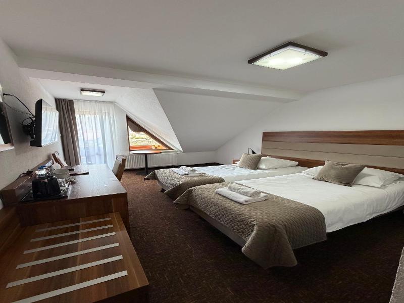 Hotel Beskidian image