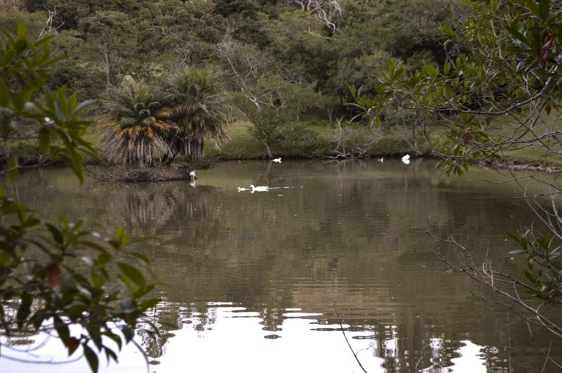 Park Hotel Mantiqueira