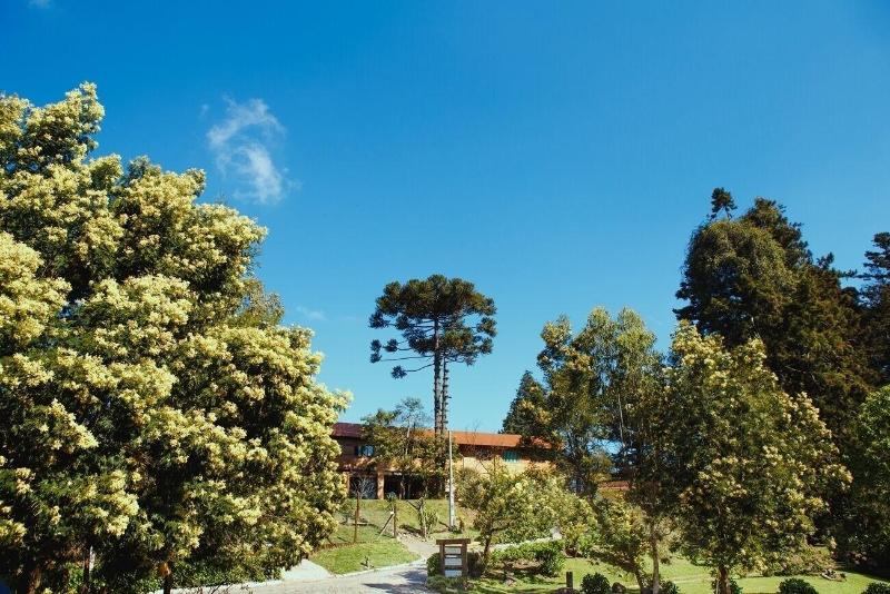 Pousada São Chico Eco Village image